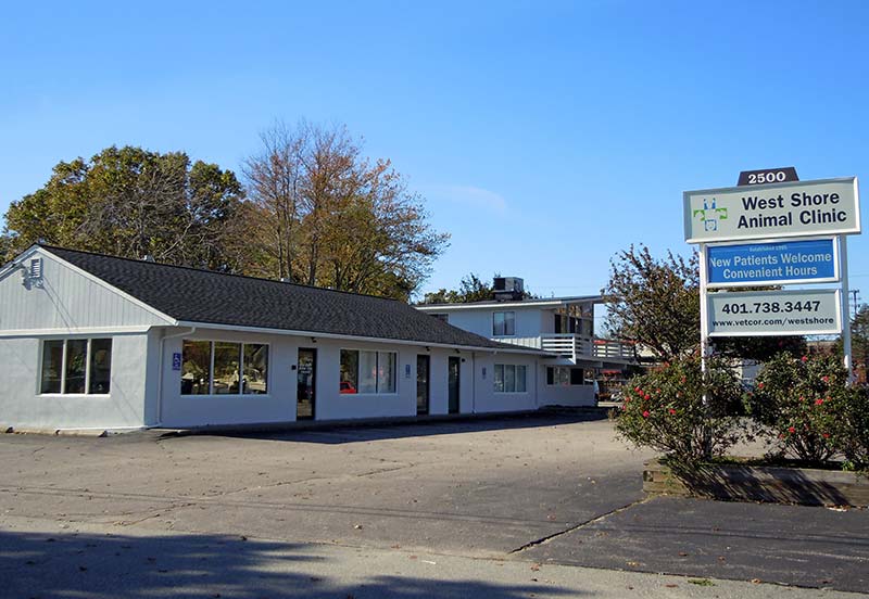 veterinary clinic in Warwick