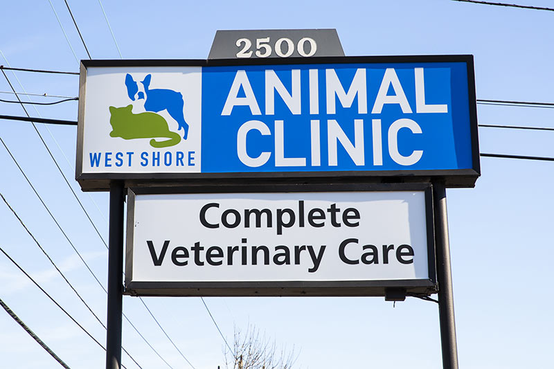 animal hospital in Warwick