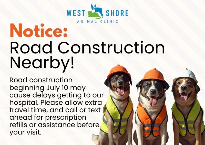 Carousel Slide 1: Road Construction